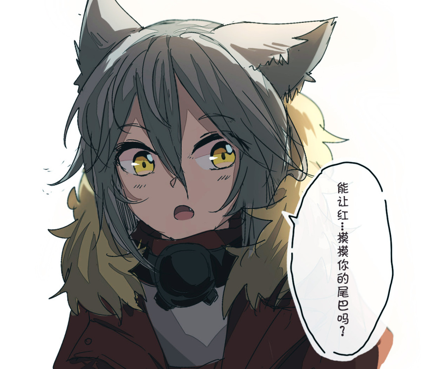 1girl animal_ears arknights chinese_text commentary eyebrows_visible_through_hair fur-trimmed_hood fur_trim grey_hair hood jacket long_hair looking_at_viewer mask mask_around_neck portrait projekt_red_(arknights) red_jacket shirt simple_background sketch solo speech_bubble translation_request white_background white_shirt wolf_ears yellow_eyes yufeng_kaete