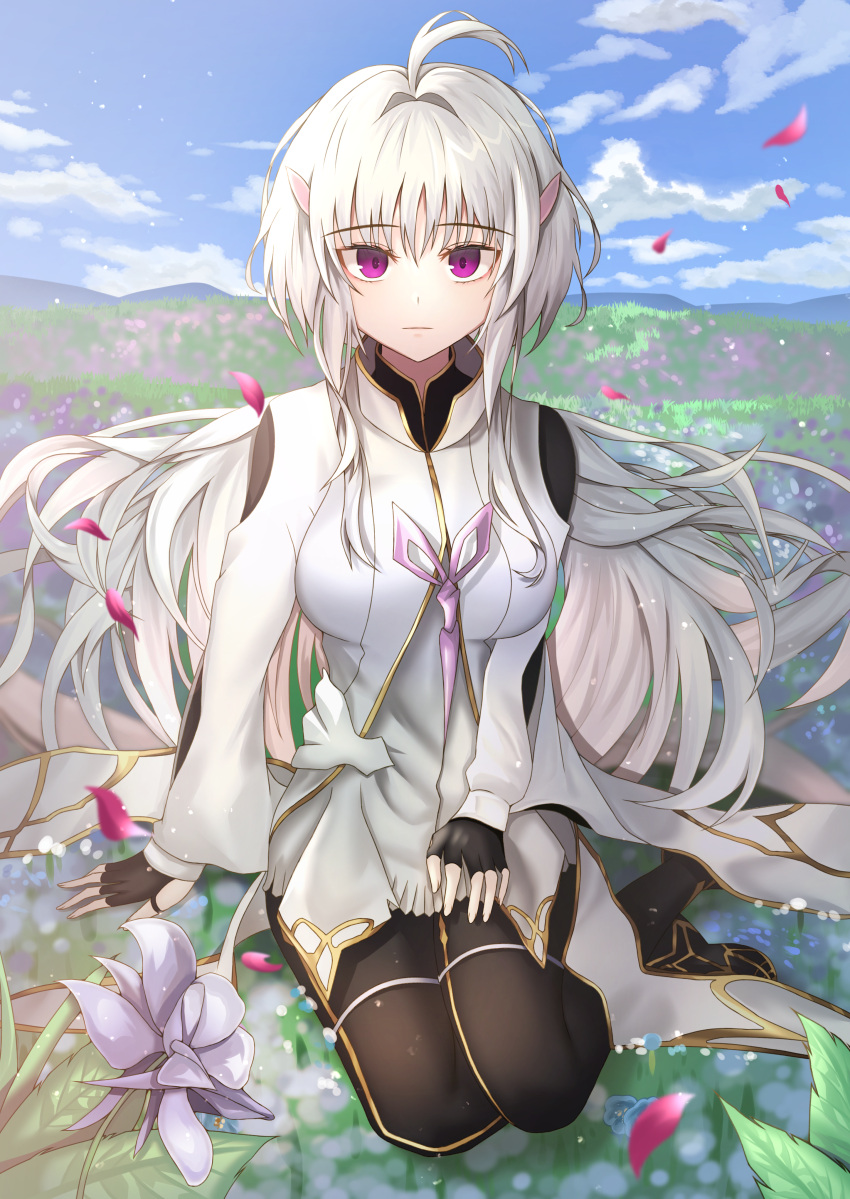 1girl absurdres ahoge arm_support blue_sky breasts expressionless fate/grand_order fate/prototype fate_(series) field fingerless_gloves flower flower_field gloves hair_intakes hand_on_lap highres hill hwa_n01 large_breasts looking_at_viewer merlin_(fate/prototype) pantyhose petals short_hair sitting sky solo violet_eyes wariza white_hair wide_sleeves