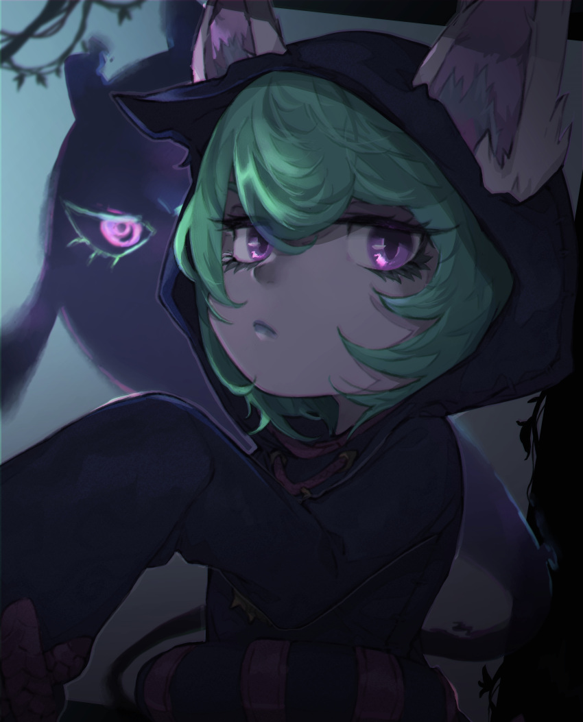 1girl absurdres animal_ears black_coat closed_mouth coat ears_through_headwear expressionless green_hair highres hood hooded_coat jewelry kukai league_of_legends looking_at_viewer necklace outdoors pink_eyes sleeves_past_fingers sleeves_past_wrists solo upper_body vex_(league_of_legends) yordle