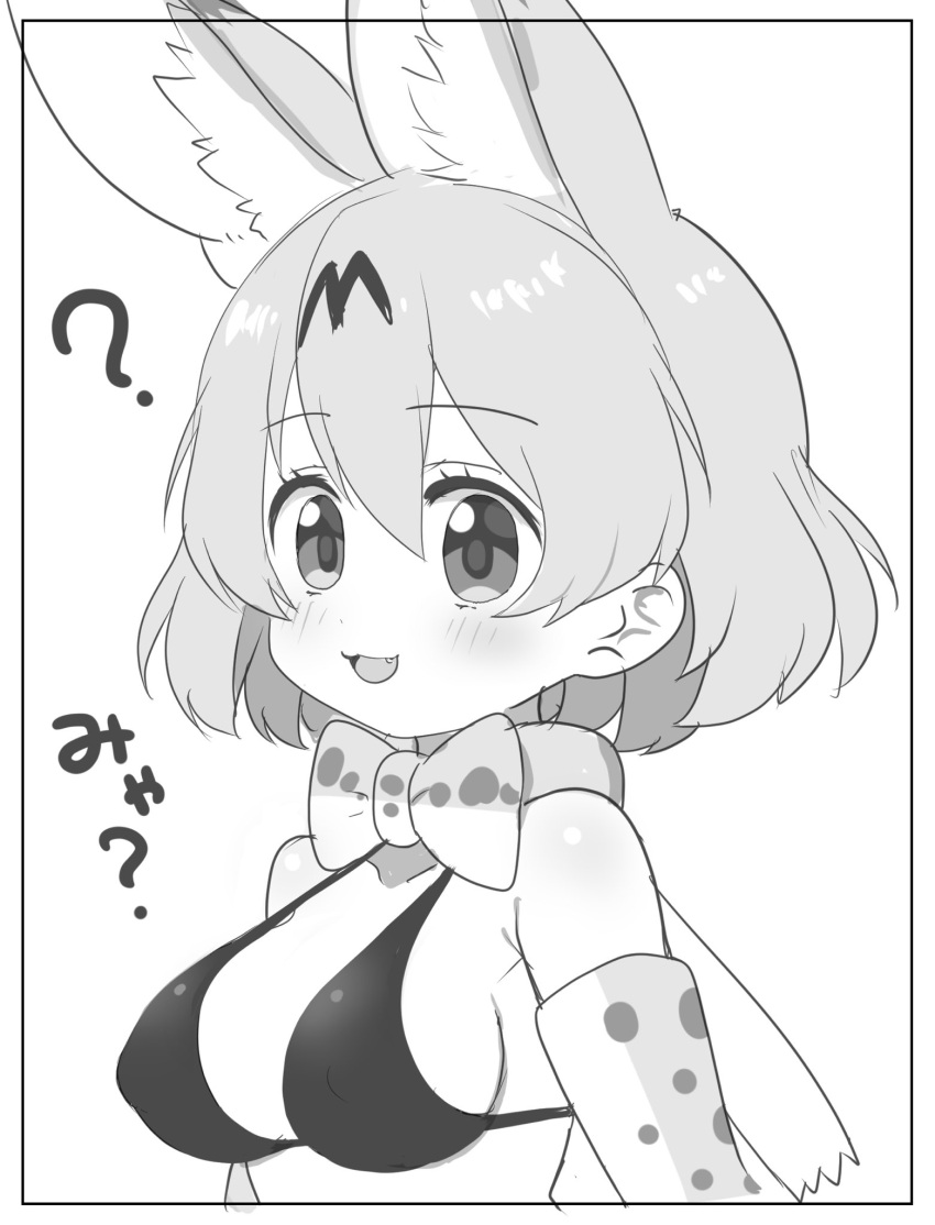 1girl :3 ? animal_ears bangs bikini bob_cut border breasts commentary_request elbow_gloves eyebrows_visible_through_hair fang gloves halterneck highres kemono_friends looking_at_viewer medium_breasts open_mouth print_gloves print_neckwear ransusan serval_(kemono_friends) serval_print short_hair smile solo swimsuit translated