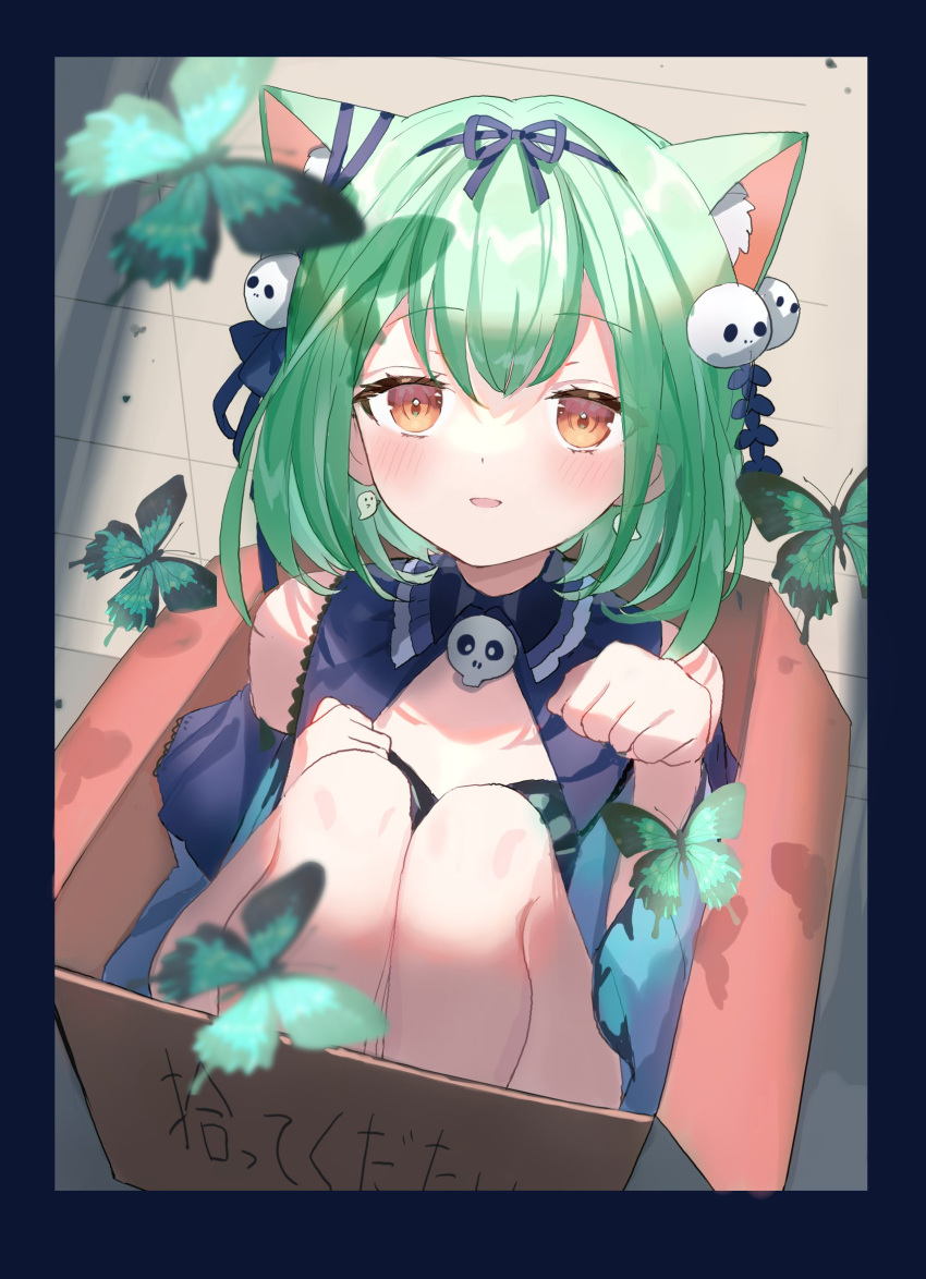 1girl animal_ear_fluff animal_ears bangs blue_bow blue_dress blush bow bow_hairband box bug butterfly cat_ears commentary_request dress eyebrows_visible_through_hair ghost_earrings green_butterfly green_eyes hair_ornament hairband highres hololive in_box in_container knees_up looking_at_viewer parted_lips paw_pose red_eyes siohanabi sitting skull_hair_ornament smile solo translation_request uruha_rushia virtual_youtuber