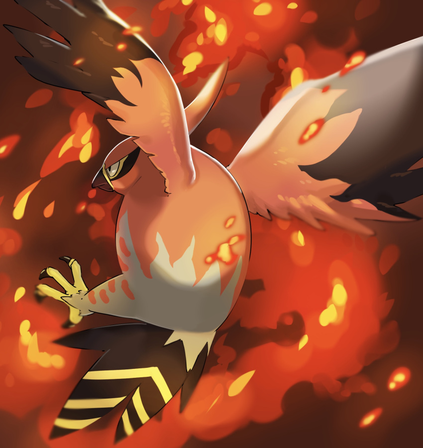 beak bird black_eyes blurry commentary_request embers from_behind highres mian_(3zandora) no_humans pokemon pokemon_(creature) solo talonflame talons