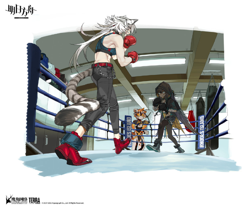 3girls animal_ears arknights artist_request belt black_gloves black_pants blue_eyes blue_footwear blue_shorts blue_sports_bra body_fur boxing_gloves boxing_ring bridal_gauntlets brown_fur brown_hair chain chinese_commentary commentary_request crossed_arms dark-skinned_female dark_skin flint_(arknights) full_body furry furry_female glasses gloves grin hood hood_up indoors indra_(arknights) long_hair looking_at_another multicolored_fur multicolored_hair multiple_girls official_art orange_eyes orange_fur orange_hair pants pantyhose pelvic_curtain punching_bag red_belt red_footwear red_gloves shorts smile sports_bra standing tail tiger_ears tiger_girl tiger_tail tinted_eyewear torn_clothes torn_legwear waai_fu_(arknights) white_fur white_hair