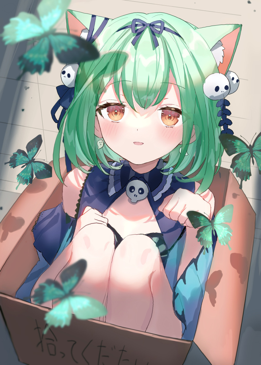 1girl absurdres animal_ear_fluff animal_ears bangs blue_bow blue_dress blush bow bow_hairband box bug butterfly cat_ears commentary_request dress extra_ears eyebrows_visible_through_hair eyes_visible_through_hair ghost_earrings green_butterfly green_eyes hair_ornament hairband highres hololive in_box in_container knees_up looking_at_viewer parted_lips paw_pose red_eyes short_hair siohanabi sitting skull_hair_ornament smile solo translated uruha_rushia virtual_youtuber