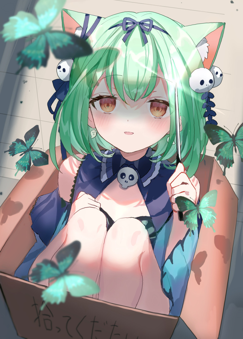 1girl absurdres animal_ear_fluff animal_ears bangs blue_bow blue_dress blush bow bow_hairband box bug butterfly cat_ears commentary_request dress extra_ears eyebrows_visible_through_hair eyes_visible_through_hair ghost_earrings green_butterfly green_eyes hair_ornament hairband highres hololive in_box in_container knees_up looking_at_viewer parted_lips paw_pose red_eyes short_hair siohanabi sitting skull_hair_ornament smile solo translated uruha_rushia virtual_youtuber