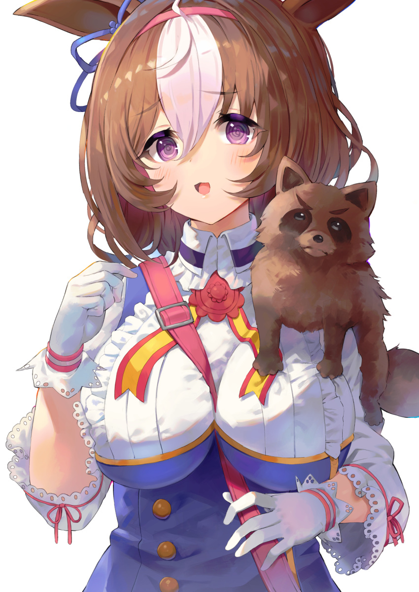 1girl :d @_@ animal animal_ears animal_request bangs blue_dress blush breasts brown_hair collared_shirt commentary_request dress eyebrows_visible_through_hair frilled_shirt frills gloves hair_between_eyes hairband highres horse_ears large_breasts long_sleeves looking_at_viewer meisho_doto_(umamusume) multicolored_hair open_mouth pink_hairband rangen shirt simple_background smile solo two-tone_hair umamusume violet_eyes white_background white_gloves white_hair white_shirt