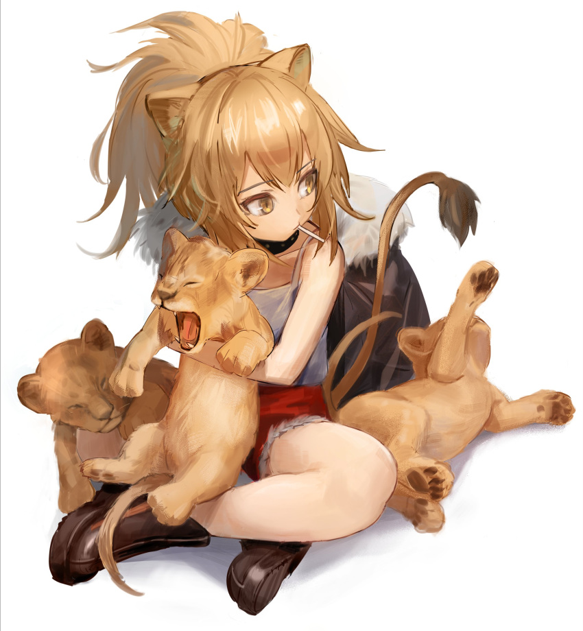 1girl absurdres animal animal_ears arknights black_collar black_footwear boots brown_hair candy collar cub food full_body fur-trimmed_jacket fur-trimmed_shorts fur_trim highres holding holding_animal indian_style jacket jacket_removed kegani_(kegani01) lion lion_ears lion_girl lion_tail lollipop looking_to_the_side mouth_hold ponytail red_shorts shorts siege_(arknights) simple_background sitting solo studded_collar tail tank_top white_background white_tank_top yellow_eyes younger