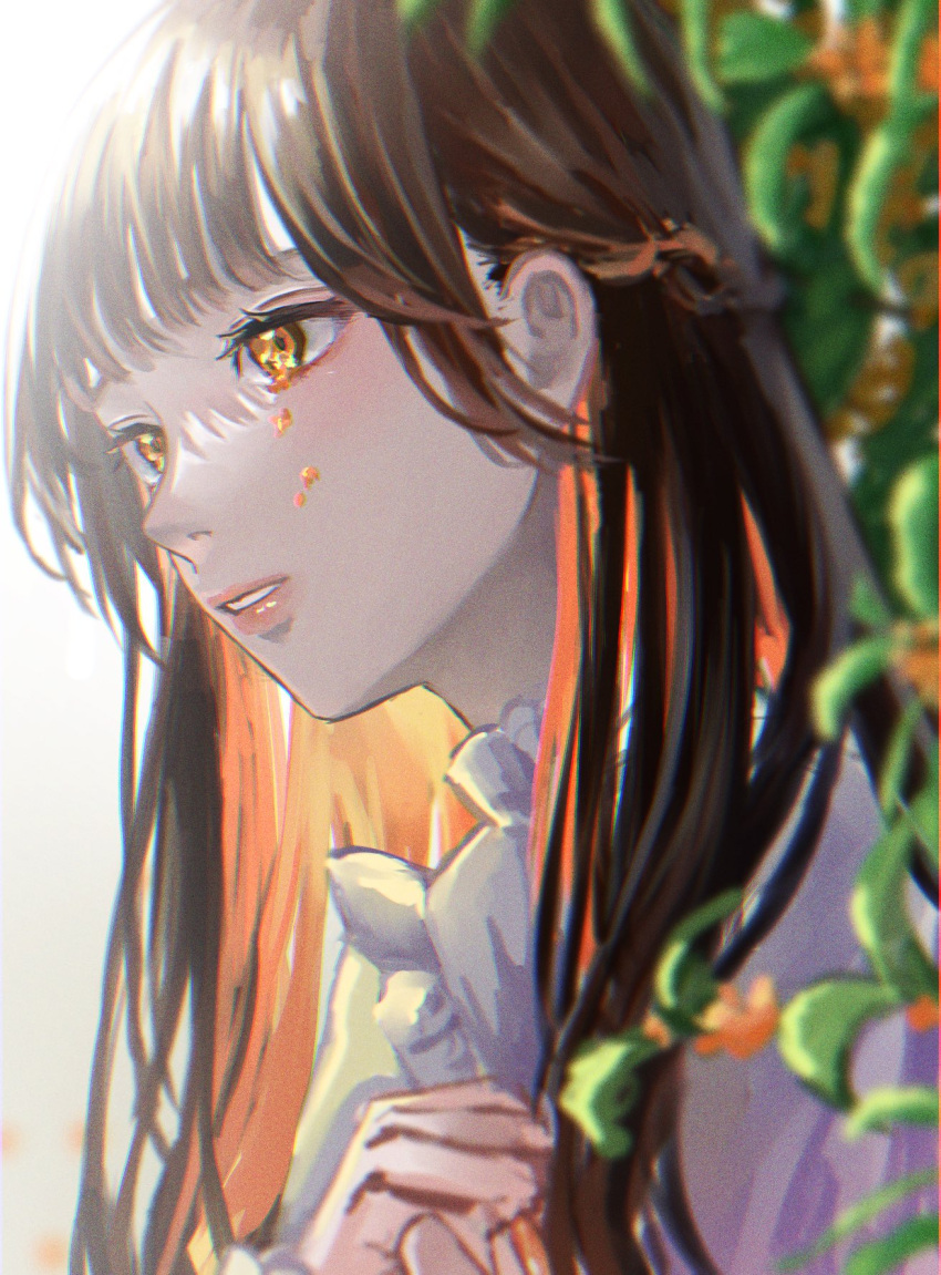 1girl bangs black_hair blunt_bangs brown_hair colored_inner_hair crossed_arms crying crying_with_eyes_open frills highres light_rays looking_away multicolored_hair orange_eyes orange_hair orev4xx original outdoors sidelocks solo tears upper_body