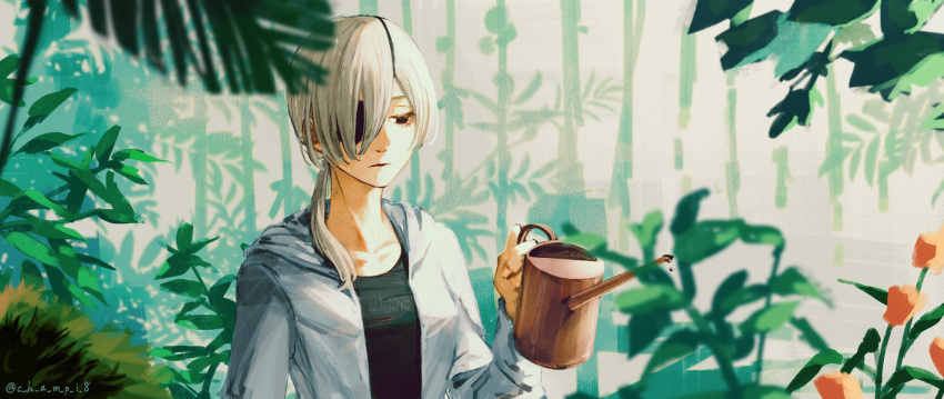 1girl bangs black_eyepatch black_eyes black_shirt chainsaw_man champi commentary eyepatch flower hand_up highres holding holding_watering_can hood hood_down hoodie leaf long_sleeves medium_hair one_eye_covered plant ponytail quanxi_(chainsaw_man) shirt silver_hair solo twitter_username upper_body watering watering_can white_hoodie