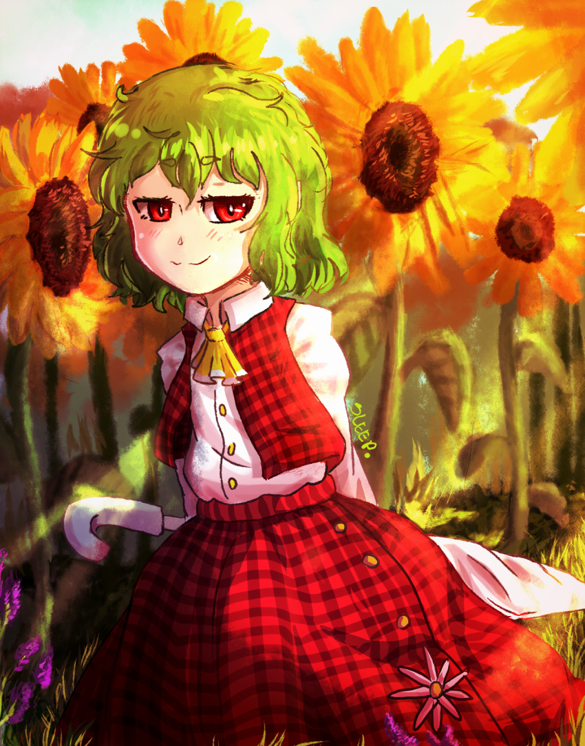 1girl artist_name ascot bangs blue_sky blush buttons closed_mouth clouds cloudy_sky collar collared_shirt eyebrows_visible_through_hair flower grass green_hair hair_between_eyes highres kazami_yuuka leaf long_sleeves looking_at_viewer open_clothes open_vest pink_flower plaid plaid_skirt plaid_vest purple_flower red_eyes red_skirt red_vest shadow shirt short_hair skirt sky sleep_(isliping) smile solo standing sunflower sunlight touhou umbrella vest white_shirt yellow_neckwear