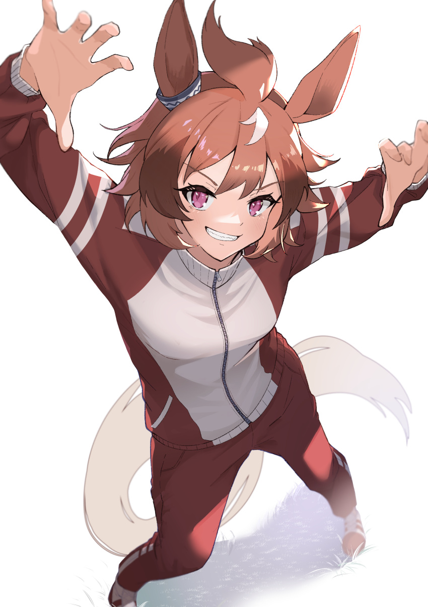 1girl :d absurdres animal_ears arms_up bangs blush breasts brown_hair claw_pose ear_ornament from_above full_body grin highres horse_ears horse_girl horse_tail jacket long_sleeves looking_at_viewer looking_up medium_breasts multicolored multicolored_clothes multicolored_hair multicolored_jacket pants pink_eyes red_pants sansai_soba shinko_windy_(umamusume) short_hair simple_background smile solo standing tail teeth track_jacket track_pants two-tone_hair two-tone_jacket umamusume v-shaped_eyebrows white_background white_hair zipper
