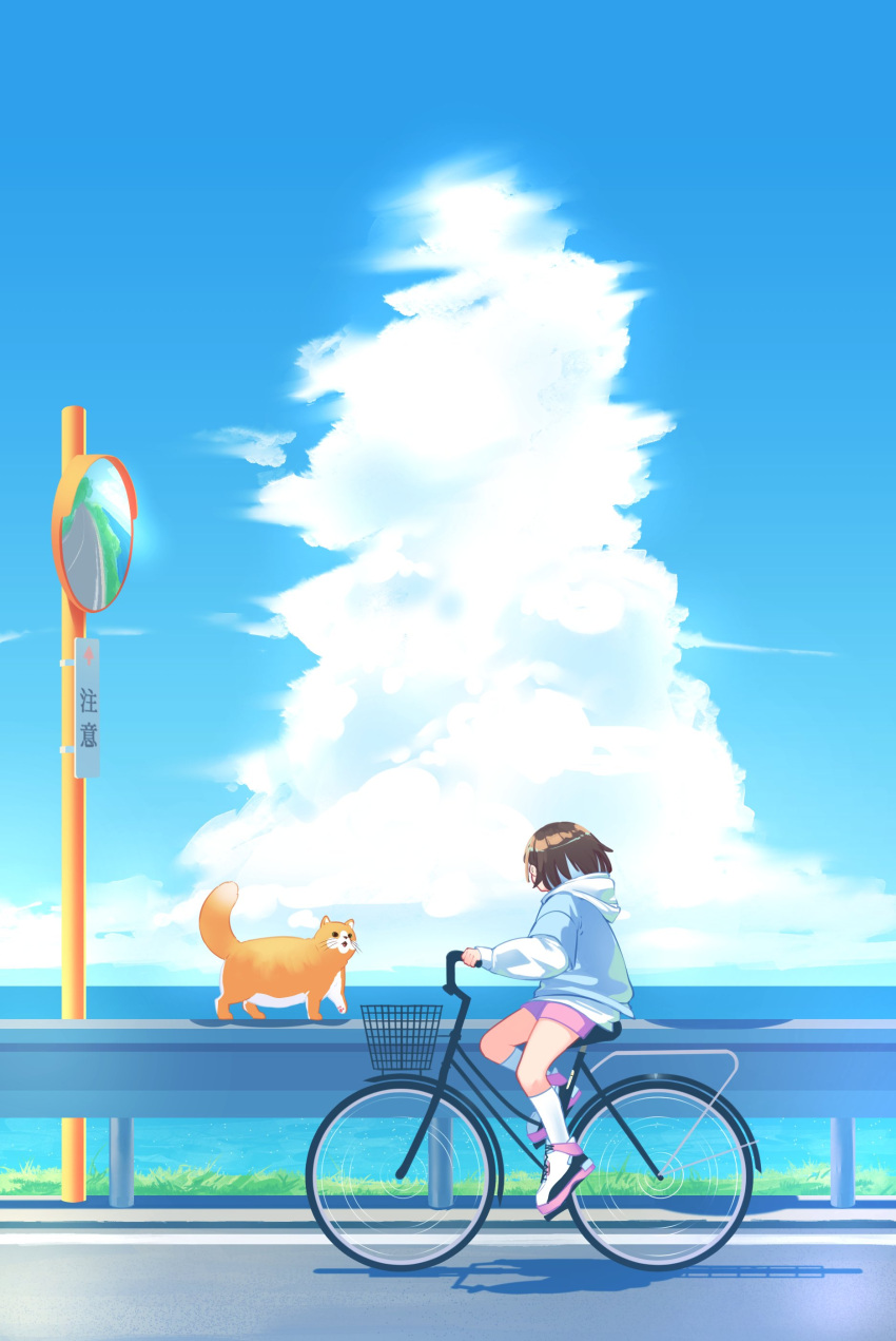 1girl absurdres blue_hair blue_shirt cat clouds colored_inner_hair english_commentary highres looking_to_the_side multicolored_hair ocean original pink_shorts riding_bicycle scenery shirt shoes shorts sign sky sneakers solo tama_gotoh white_shirt yoruny