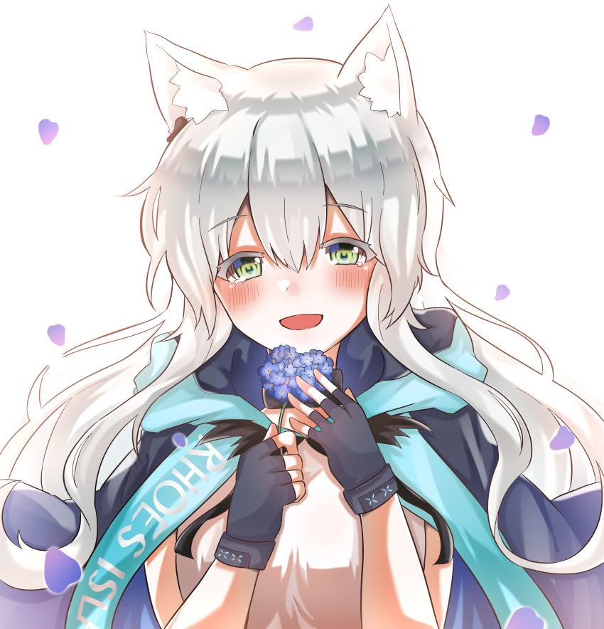 1girl absurdres animal_ears arknights bangs blush cat_ears cat_girl choker cloak eyebrows_visible_through_hair fingerless_gloves flower gloves green_eyes highres hood hood_down hooded_cloak infection_monitor_(arknights) long_hair rosmontis_(arknights) solo yarunoneko