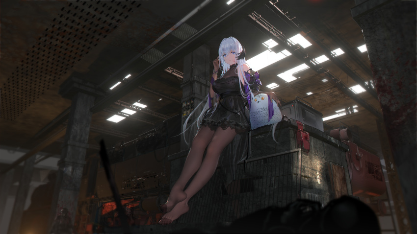 1girl bangs bird black_dress blood blood_on_face blue_eyes breasts brown_gloves brown_legwear ceiling dress eyebrows_visible_through_hair feet full_body gloves hand_up highres indoors large_breasts long_hair looking_at_viewer no_shoes pantyhose short_dress silver_hair sitting solo swd3e2 very_long_hair