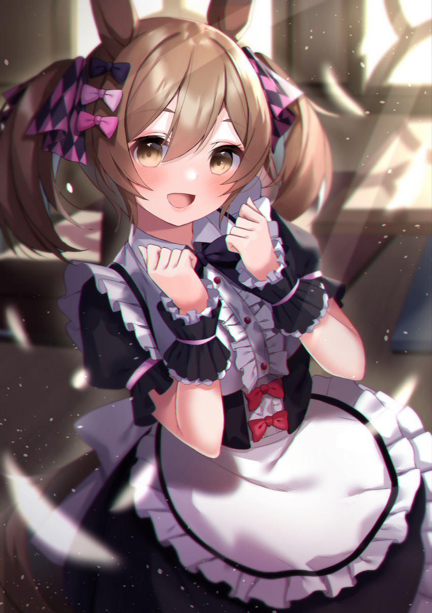 1girl :d amahara_pekozaemon animal_ears apron black_bow black_dress blurry blurry_background bow brown_eyes brown_hair center_frills collared_shirt day depth_of_field dress frilled_apron frills hands_up highres horse_ears horse_girl horse_tail indoors looking_at_viewer puffy_short_sleeves puffy_sleeves red_bow shirt short_sleeves smart_falcon_(umamusume) smile solo sunlight tail twintails umamusume waist_apron white_apron white_shirt wrist_cuffs