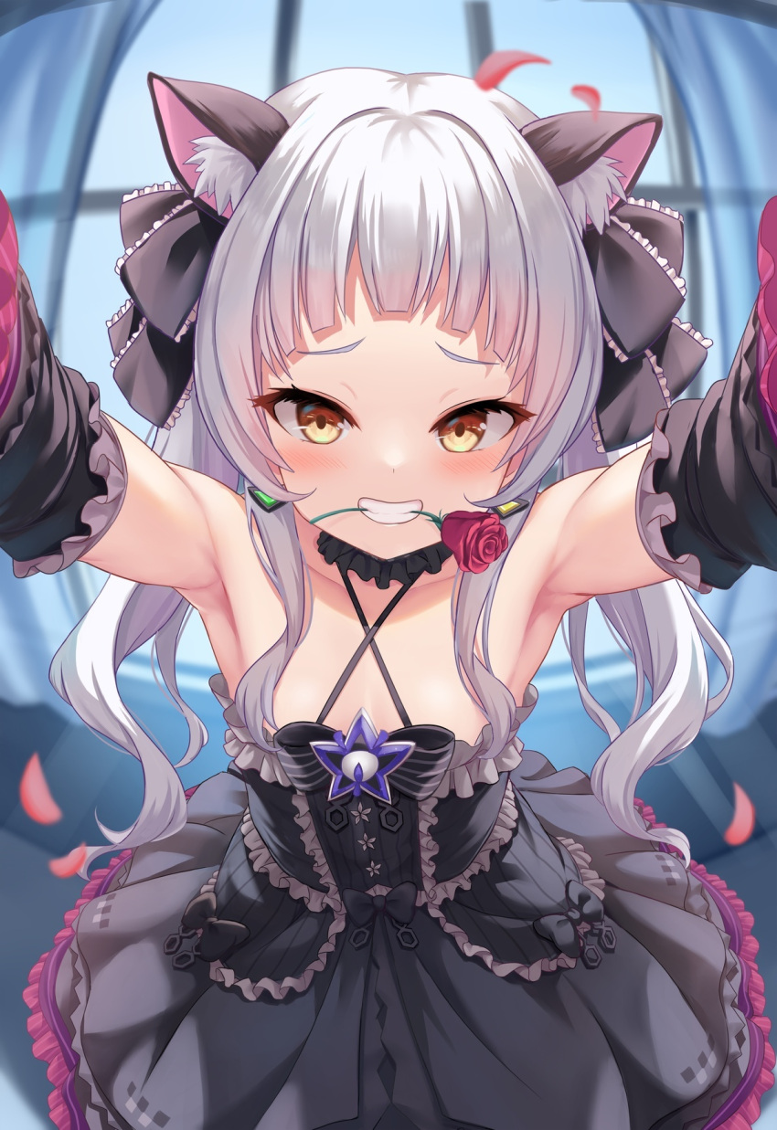 1girl animal_ears armpits bangs bare_shoulders black_dress black_ribbon blunt_bangs blush breasts cat_ears covered_mouth detached_sleeves dress earrings flower grin hair_ribbon highres hololive jewelry long_hair looking_at_viewer murasaki_shion outstretched_arms pov revision ribbon rose shimokirin small_breasts smile solo twintails virtual_youtuber yellow_eyes