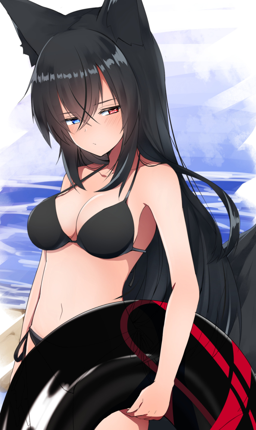 1girl animal_ears bikini black_bikini black_hair blue_eyes breasts fox_ears fox_girl fox_tail heterochromia highres holding holding_innertube innertube kurousagi_tetora long_hair medium_breasts navel original red_eyes swimsuit tail