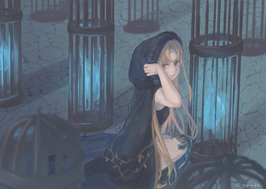 1girl absurdres birdcage blonde_hair cage cape ereshkigal_(fate) fate/grand_order fate_(series) highres hood long_hair looking_at_viewer red_eyes shadow sidelocks solo squatting tapi_chee