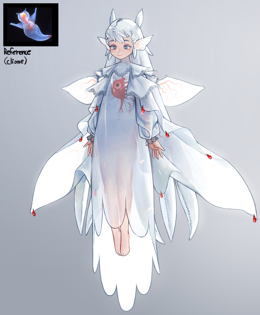 1girl barefoot dress extra_eyes grey_background grey_eyes heart_(organ) highres long_hair monster_girl original personification photo_inset plantar_flexion reference_inset ribs rinotuna sea_angel see-through smile tentacle_hair transparent veins very_long_hair white_dress white_hair