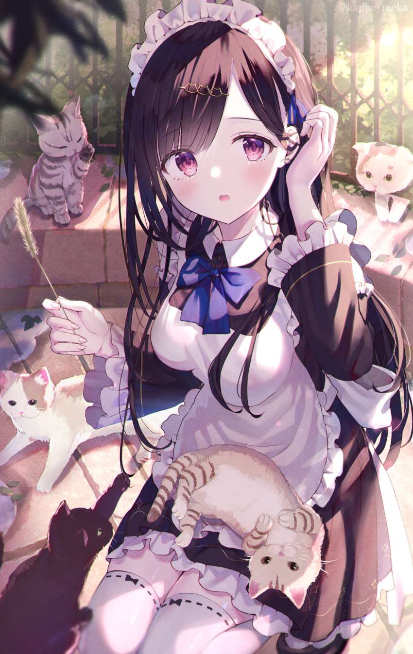 1girl adjusting_clothes animal apron bangs black_dress black_hair blush bow bowtie cat cat_teaser day dress ear_piercing eyebrows_visible_through_hair frilled_apron frilled_dress frilled_sleeves frills hair_ornament hairclip highres holding kappe_reeka long_hair long_sleeves looking_at_viewer maid maid_headdress open_mouth original outdoors piercing pink_eyes purple_bow purple_neckwear sitting solo sunlight swept_bangs thigh-highs very_long_hair white_apron white_legwear zettai_ryouiki