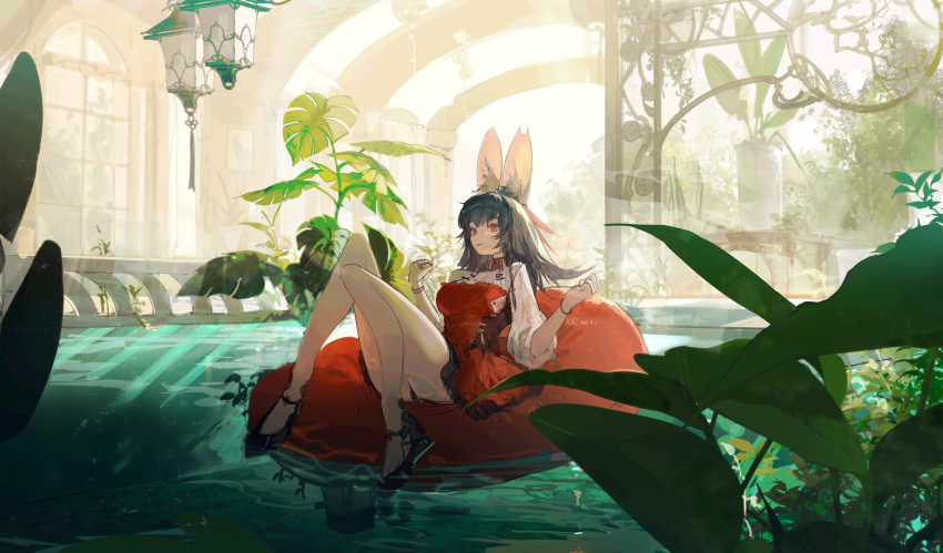 1girl absurdres afloat animal_ear_fluff animal_ears architecture bangs black_footwear black_hair bracelet braid clenched_hands commentary dress hair_ribbon hands_up high_collar highres innertube jewelry knees_up kurii89800727 lamp long_hair original plant pool potted_plant rabbit_ears red_dress red_eyes ribbon single_braid sitting solo symbol-only_commentary table vines water window