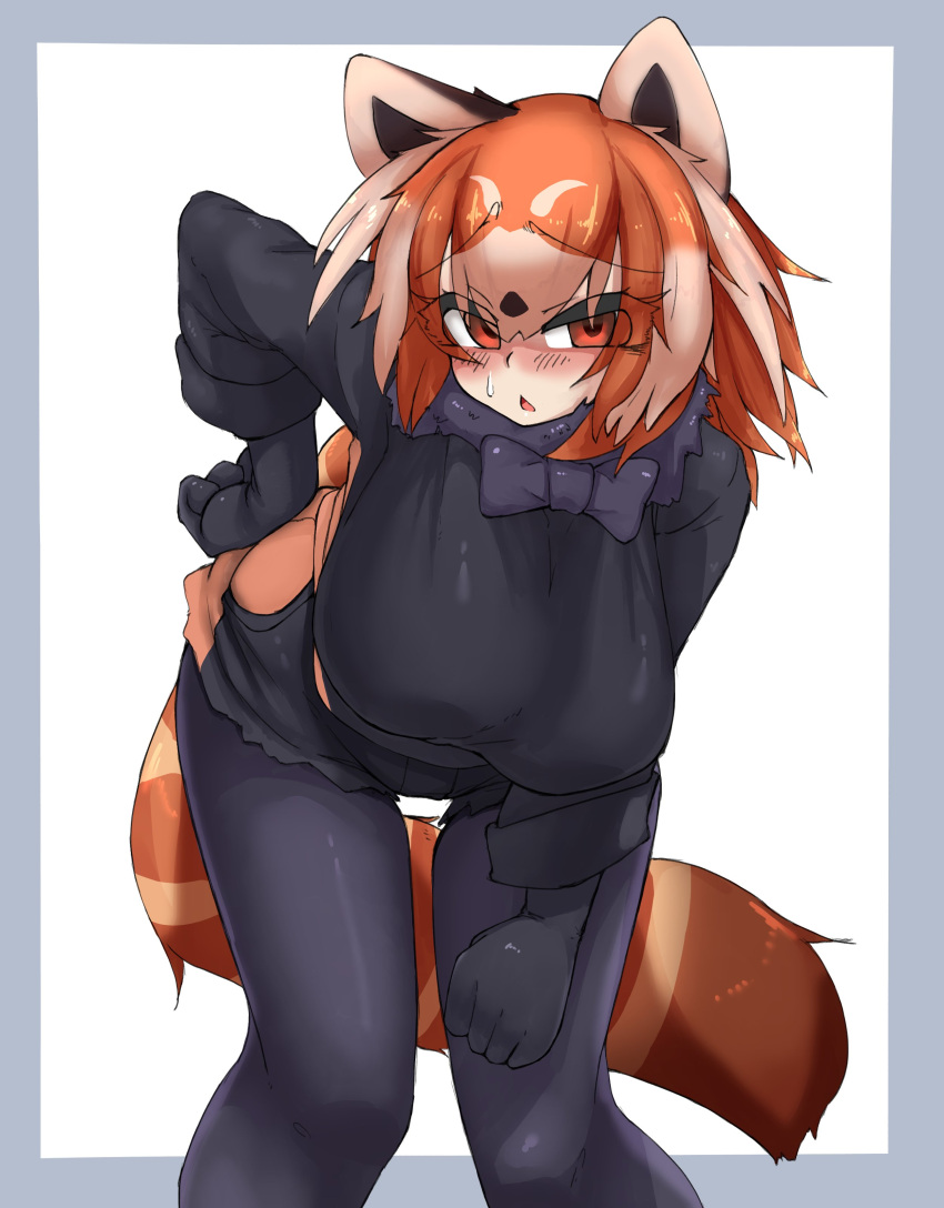 1girl absurdres animal_ears black_bow black_bowtie black_gloves black_legwear black_sweater blush border bow bowtie breasts commentary_request eyebrows_visible_through_hair gloves grey_border hair_between_eyes highres kemono_friends large_breasts leaning_forward lesser_panda_(kemono_friends) looking_at_viewer orange_eyes orange_hair outside_border pantyhose simple_background solo sweatdrop sweater tail triangle_mouth urisaba white_background