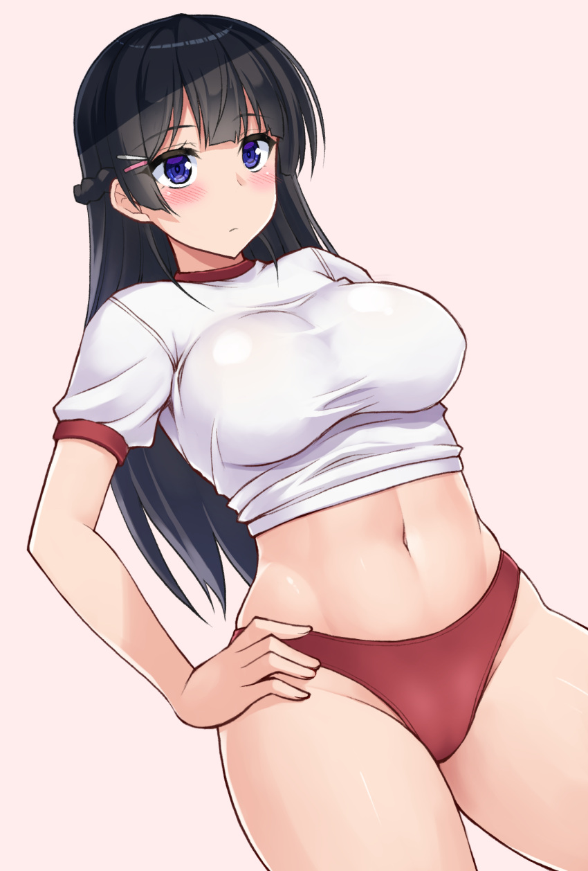 1girl alternate_costume black_hair blue_eyes blush braid breasts buruma closed_mouth commentary cowboy_shot dutch_angle expressionless eyebrows_visible_through_hair french_braid groin gym_uniform hair_ornament hairclip hand_on_hip highres hormone_koijirou large_breasts long_hair midriff navel nijisanji pink_background red_buruma shirt short_sleeves simple_background solo straight_hair t-shirt taut_clothes taut_shirt thighs tsukino_mito virtual_youtuber white_shirt