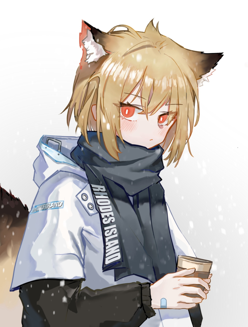 1girl alternate_costume animal_ear_fluff animal_ears arknights bandaid bandaid_on_hand black_scarf black_sleeves blush clothes_writing commentary cup extra_ears eyebrows_visible_through_hair fox_ears fox_girl fox_tail grey_background highres holding holding_cup hood hood_down hooded_jacket jacket long_sleeves looking_at_viewer orange_eyes orca_(dragooon-yike) scarf short_hair simple_background snow tail upper_body vermeil_(arknights) white_jacket
