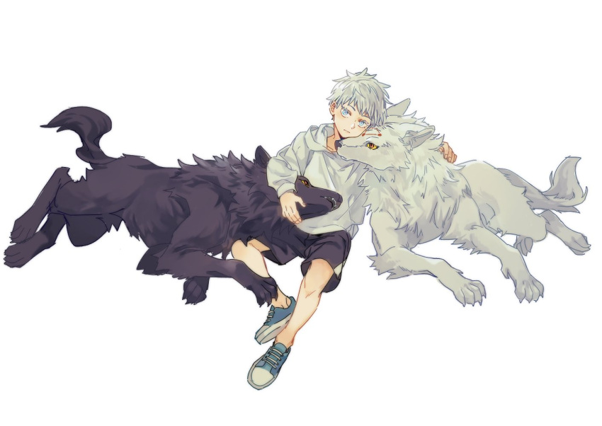 1boy animal black_shorts blue_eyes blue_footwear closed_mouth dog full_body gojou_satoru hood hood_down hoodie jujutsu_kaisen long_sleeves looking_at_viewer male_focus satsuki_g shoes short_hair shorts simple_background sitting solo white_background white_hair white_hoodie younger