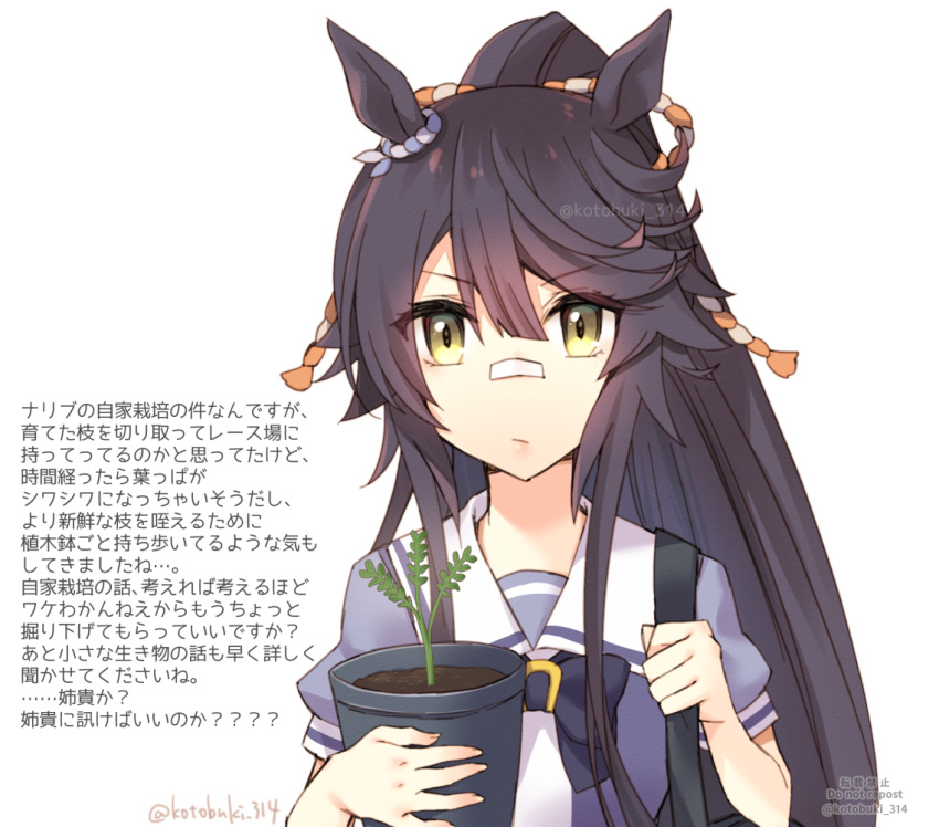 1girl animal_ears black_hair closed_mouth expressionless eyebrows_visible_through_hair holding holding_pot horse_ears horse_girl kotobuki_(momoko_factory) long_hair narita_brian_(umamusume) plant ponytail pot potted_plant solo translation_request twitter_username umamusume upper_body yellow_eyes