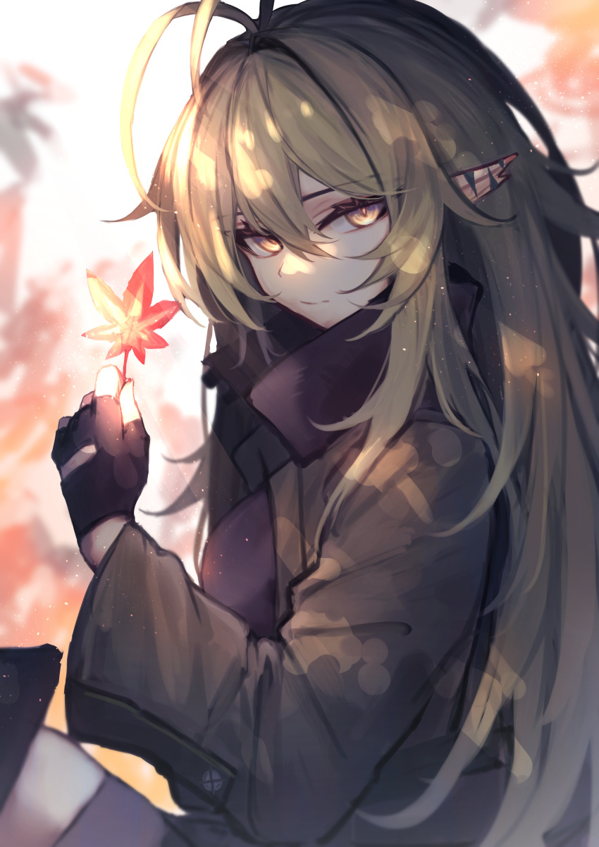 1girl absurdres antenna_hair arknights black_gloves black_jacket fingerless_gloves from_side gavial_(arknights) gloves green_hair hat highres holding holding_leaf jacket leaf long_hair long_sleeves looking_at_viewer maple_leaf ozeu0916 pointy_ears sitting solo upper_body very_long_hair yellow_eyes