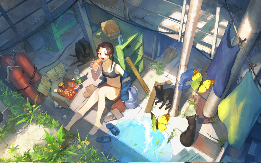 1girl animal bag bangs bare_shoulders barefoot black_sports_bra blue_jacket bread breasts brown_hair brown_shorts bug butterfly can cat clothesline clouds collarbone commentary_request day dolphin_shorts eating flower food from_above hand_up highres imoni_(gggzooo) jacket jacket_partially_removed knee_up laundry long_hair looking_at_viewer looking_up navel open_mouth original parted_bangs puddle red_eyes reflection scenery short_shorts shorts sitting slippers slippers_removed small_breasts solo sports_bra sunlight water wide_shot yellow_flower