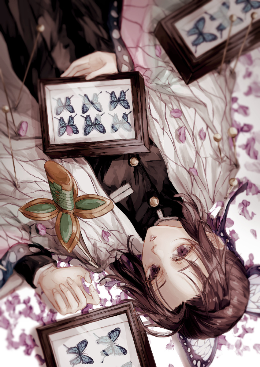 1girl animal_print belt black_hair blue_butterfly bug butterfly butterfly_hair_ornament butterfly_print display_case hair_ornament hair_pulled_back haori highres japanese_clothes katana kimetsu_no_yaiba kochou_shinobu lying nehitsuji on_back petals short_hair sidelocks solo sword tied_hair uniform violet_eyes weapon white_belt