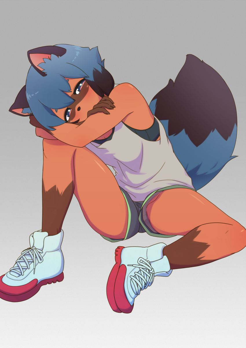 1girl animal_ears animal_nose arms_on_knees black_hair blue_eyes blue_hair body_fur brand_new_animal brown_fur dolphin_shorts furry furry_female gradient gradient_background grey_background highres kagemori_michiru knee_up looking_at_viewer multicolored_hair oniyama_(o2yama) panties pantyshot raccoon_ears raccoon_girl raccoon_tail shoes short_hair shorts sitting sneakers solo sports_bra spread_legs tail tank_top tanuki two-tone_hair underwear