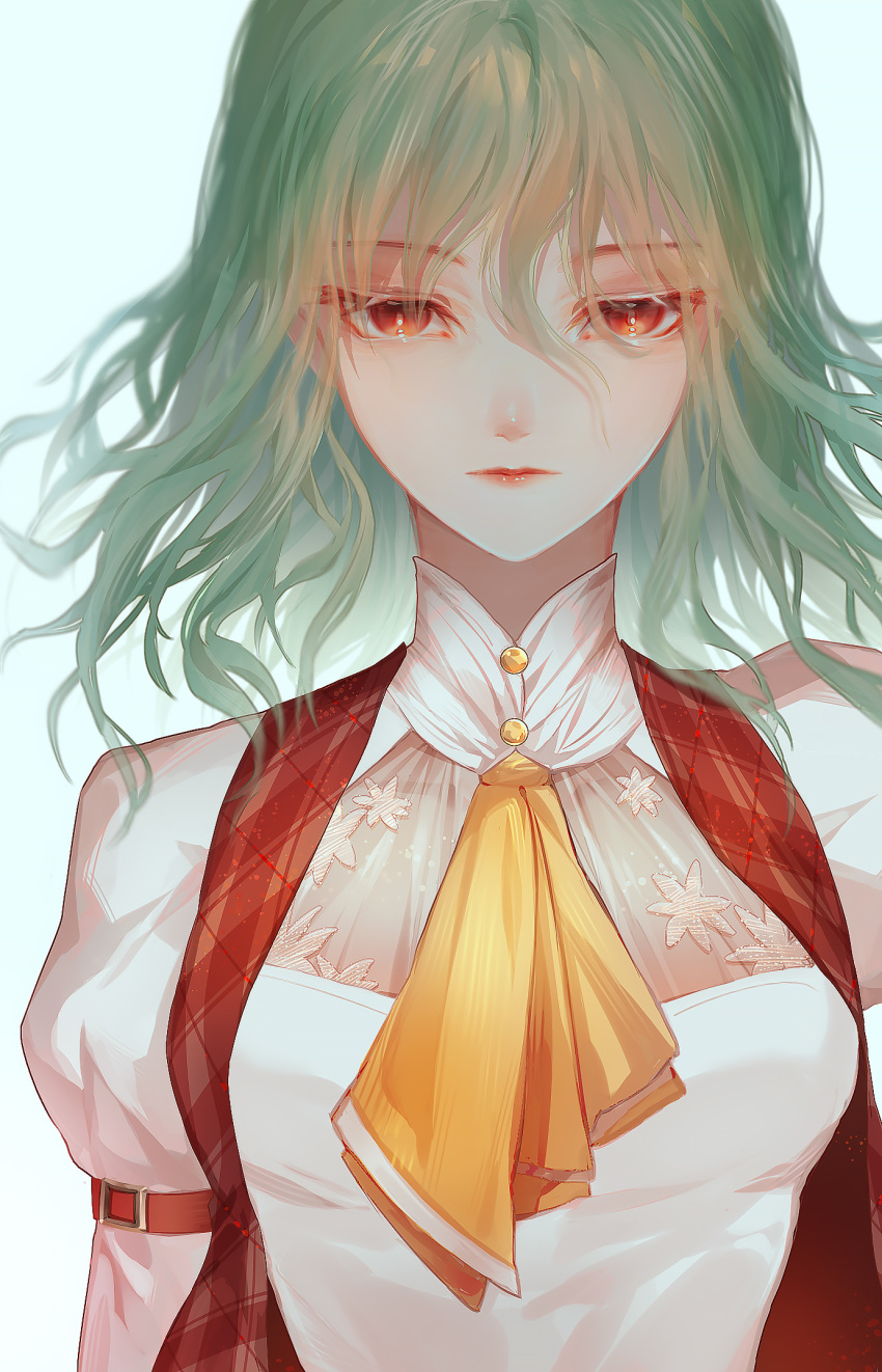 1girl adapted_costume ascot bangs breasts closed_mouth expressionless eyebrows_visible_through_hair green_hair hair_between_eyes highres juliet_sleeves kazami_yuuka light_blush lips long_hair long_sleeves looking_at_viewer medium_breasts puffy_sleeves red_eyes red_vest simple_background solo touhou upper_body vest wanou white_background yellow_ascot