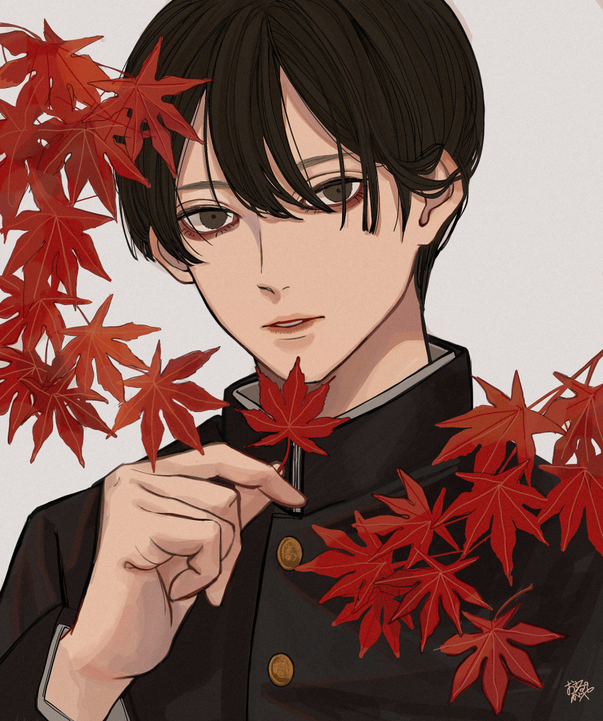 1boy autumn_leaves bangs bishounen black_hair black_jacket branch brown_eyes buttons commentary gakuran hair_between_eyes hand_up highres holding holding_leaf jacket kagoya1219 leaf looking_at_viewer male_focus maple_leaf original parted_lips school_uniform short_hair simple_background solo straight_hair upper_body white_background