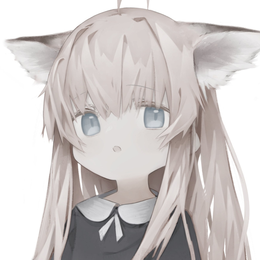 1girl ahoge animal_ear_fluff animal_ears bangs black_shirt blue_eyes brown_hair collared_shirt commentary_request eyebrows_visible_through_hair hair_between_eyes highres long_hair looking_at_viewer original parted_lips shirt simple_background solo tou_toutou upper_body white_background