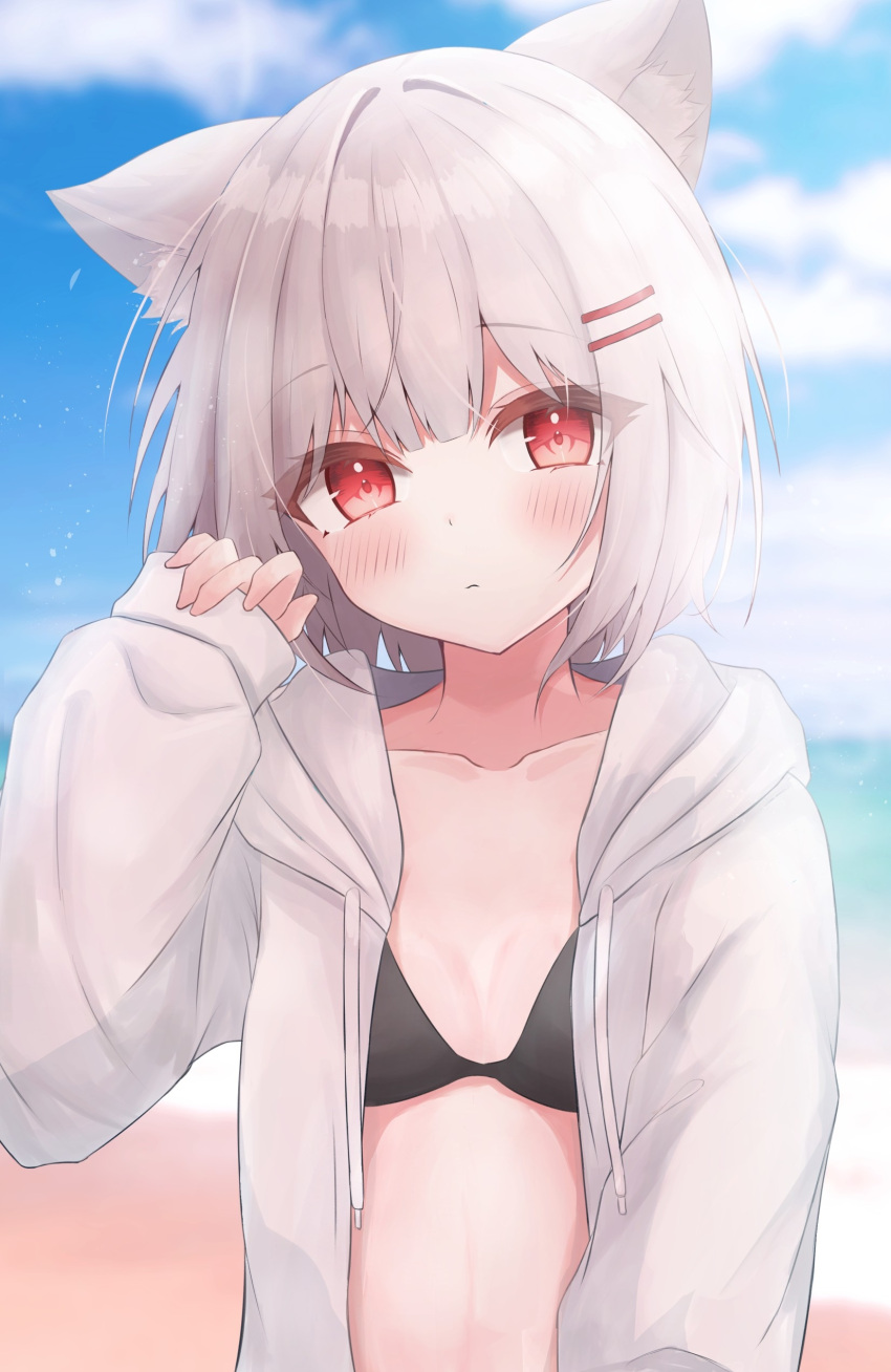 1girl absurdres animal_ear_fluff animal_ears bikini bikini_under_clothes black_bikini blue_sky blurry blurry_background blush breasts cat_ears closed_mouth clouds collarbone commentary_request day depth_of_field drawstring grey_hair hair_ornament hairclip hand_up head_tilt highres hood hood_down hooded_jacket jacket long_sleeves looking_at_viewer ocean open_clothes open_jacket original outdoors red_eyes sirotuki_ito sky sleeves_past_wrists small_breasts solo swimsuit upper_body water white_jacket