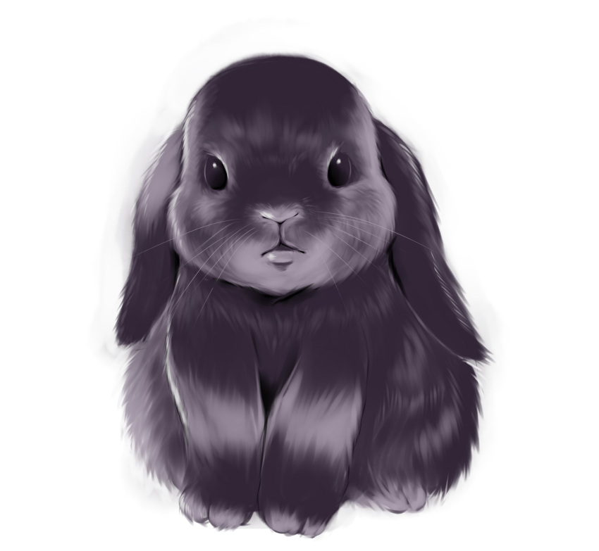 :&lt; absurdres animal_focus black_eyes closed_mouth commentary full_body highres looking_at_viewer no_humans original rabbit simple_background sitting treyer white_background