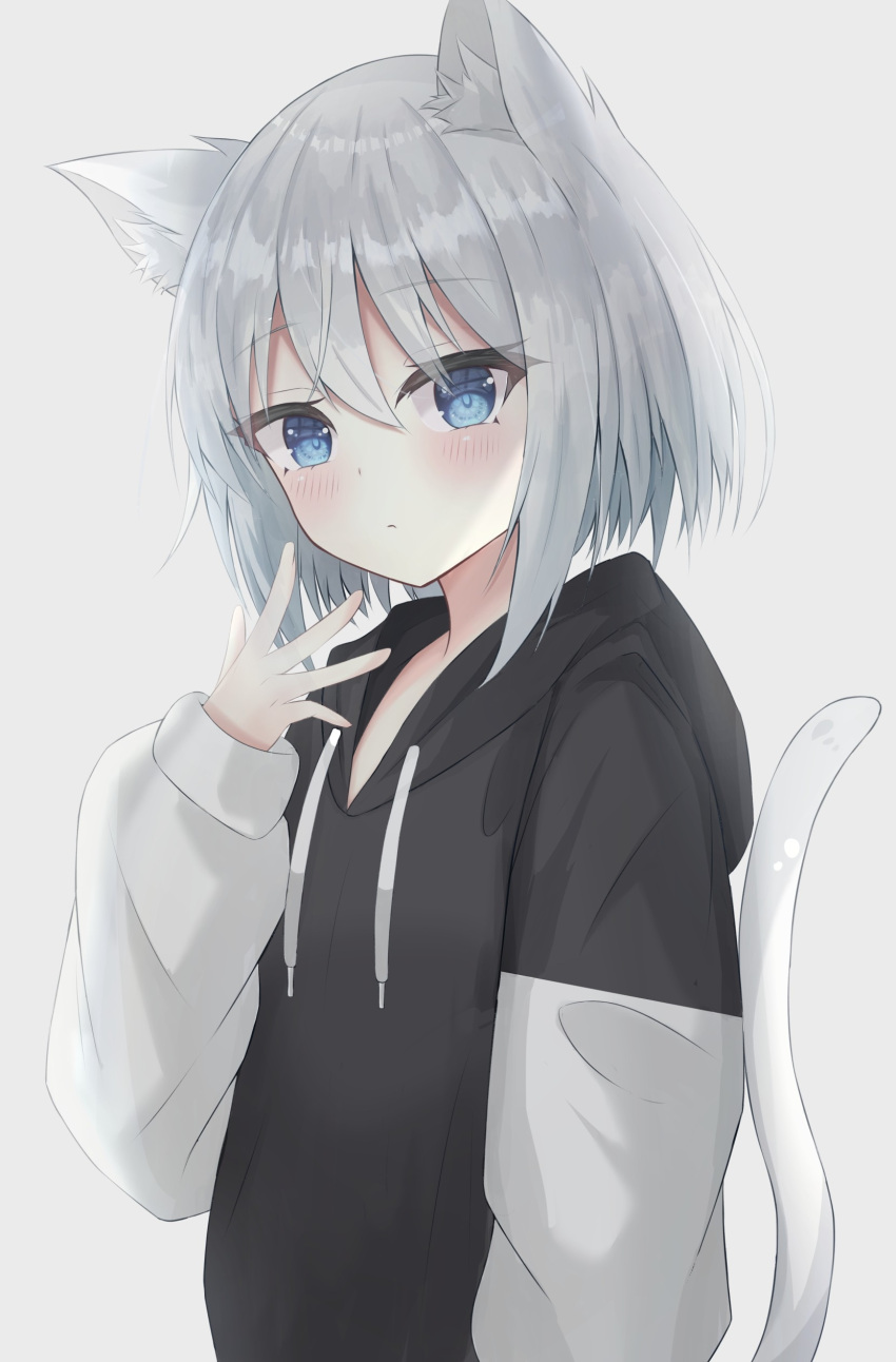 1girl absurdres animal_ears bangs black_hoodie blue_eyes blush cat_ears cat_girl cat_tail closed_mouth commentary_request drawstring eyebrows_visible_through_hair grey_background grey_hair hair_between_eyes hand_up highres hood hood_down hoodie long_sleeves looking_at_viewer original puffy_long_sleeves puffy_sleeves simple_background sirotuki_ito sleeves_past_wrists solo tail tail_raised