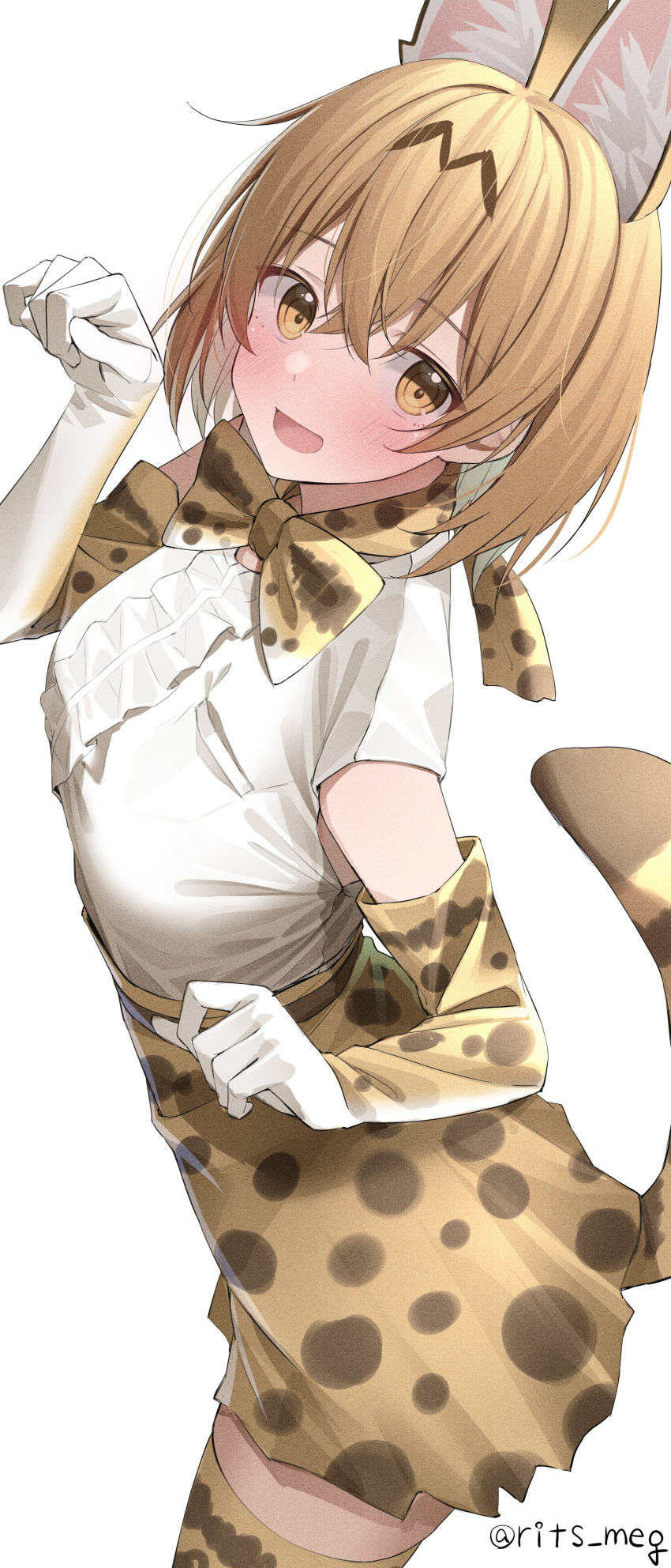 1girl absurdres animal_ear_fluff animal_ears artist_name blush bow bowtie breast_pocket cat_ears cat_girl cat_tail center_frills cowboy_shot elbow_gloves extra_ears frills gloves hair_between_eyes hand_up high-waist_skirt highres kawai_ritsu_(rits_meg) kemono_friends looking_at_viewer medium_hair open_mouth paw_pose pocket print_bow print_bowtie print_gloves print_legwear print_skirt serval_(kemono_friends) serval_print shirt short_sleeves simple_background skirt solo tail thigh-highs twitter_username white_background white_shirt yellow_eyes zettai_ryouiki
