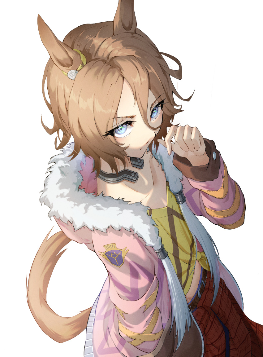 1girl absurdres akimizawa_akio animal_ears bangs belt belt_buckle brown_hair buckle closed_mouth clothes_around_waist collarbone commentary_request denim frown fur-trimmed_jacket fur_trim hair_between_eyes hand_in_pocket hand_up highres horse_ears horse_girl horse_tail jacket jeans looking_at_viewer looking_up midriff narita_taishin_(umamusume) pants pink_jacket shirt short_hair simple_background solo tail tied_shirt umamusume v-shaped_eyebrows white_background yellow_shirt