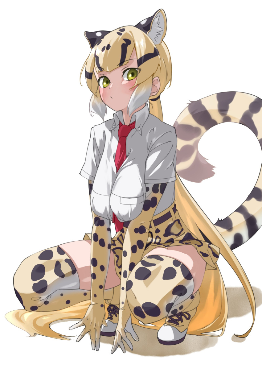 1girl absurdres animal_ear_fluff animal_ears animal_print between_breasts black_hair blonde_hair breast_squeeze breasts closed_mouth clouded_leopard_(kemono_friends) commentary elbow_gloves extra_ears eyebrows_visible_through_hair full_body gloves green_eyes highres kemono_friends large_breasts leopard_ears leopard_girl leopard_print leopard_tail long_hair looking_at_viewer multicolored_hair necktie necktie_between_breasts ponytail print_gloves print_legwear print_skirt red_necktie shirt short_sleeves simple_background skirt solo squatting tail tanabe_(fueisei) thigh-highs tiptoes very_long_hair white_background white_hair white_shirt zettai_ryouiki