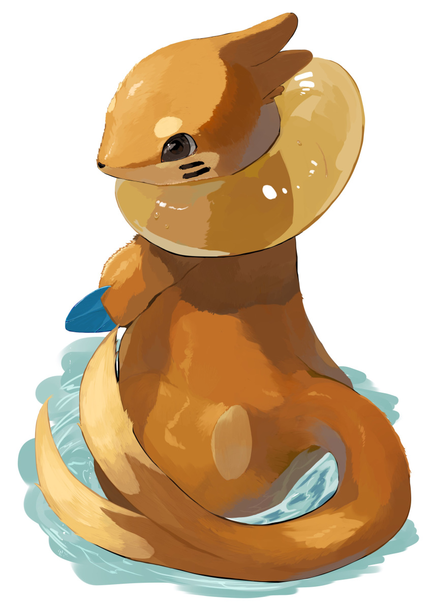 absurdres brown_eyes buizel commentary_request forked_tail highres looking_to_the_side no_humans pokemon pokemon_(creature) ripples shiny solo standing tail wading water yunimaru
