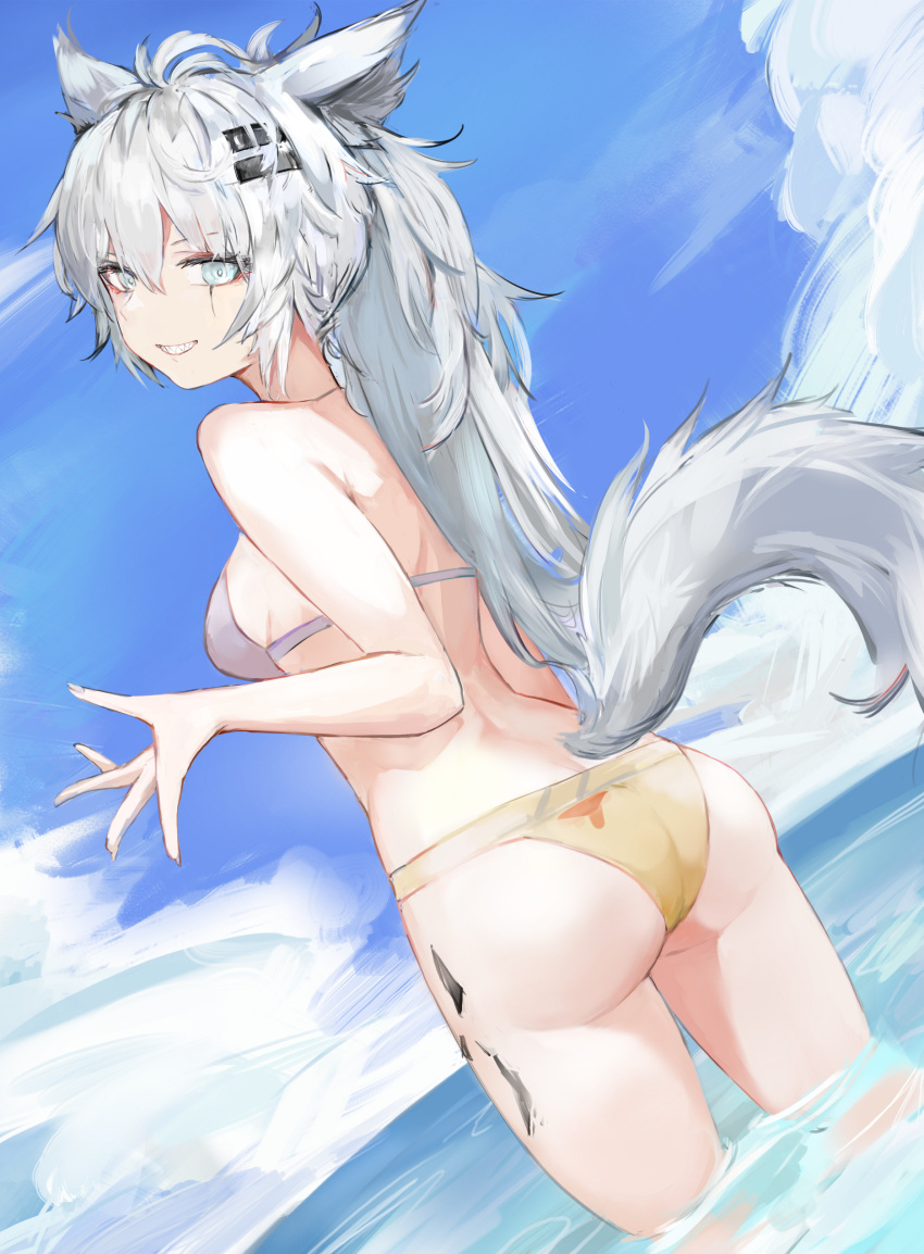 1girl absurdres alternate_costume animal_ears arknights bikini breasts cowboy_shot from_behind gnai grey_eyes grin hair_between_eyes hair_ornament hairclip highres lappland_(arknights) long_hair looking_at_viewer looking_back medium_breasts oripathy_lesion_(arknights) outdoors scar scar_across_eye silver_bikini silver_hair smile solo stomach string_bikini swimsuit tail thighs wading wolf_ears wolf_tail yellow_bikini