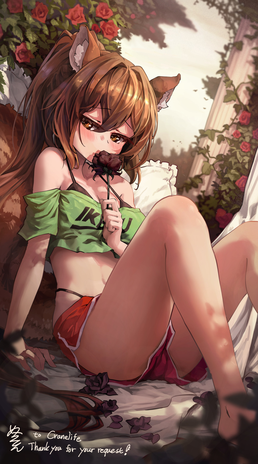 1girl absurdres animal_ears arm_support ass bare_legs bare_shoulders bikini bikini_under_clothes black_bikini breasts brown_eyes brown_hair commission crop_top dolphin_shorts flower green_shirt halterneck highleg highleg_bikini highres holding holding_flower knees_up long_hair looking_at_viewer medium_breasts melaton midriff navel off-shoulder_shirt off_shoulder original ponytail red_shorts rose second-party_source shirt short_shorts shorts sitting solo squirrel_ears squirrel_girl squirrel_tail stomach strap_gap string_bikini swimsuit tail thighs