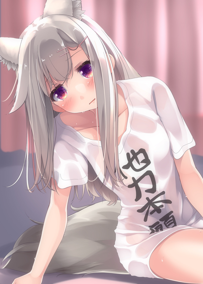 1girl animal_ear_fluff animal_ears animare bangs blush eyebrows_visible_through_hair hair_ornament hairpin highres leaning_to_the_side long_hair looking_at_viewer sch shiromiya_mimi shirt short_sleeves silver_hair sitting solo sweat tail violet_eyes virtual_youtuber wet wet_clothes wet_shirt white_shirt