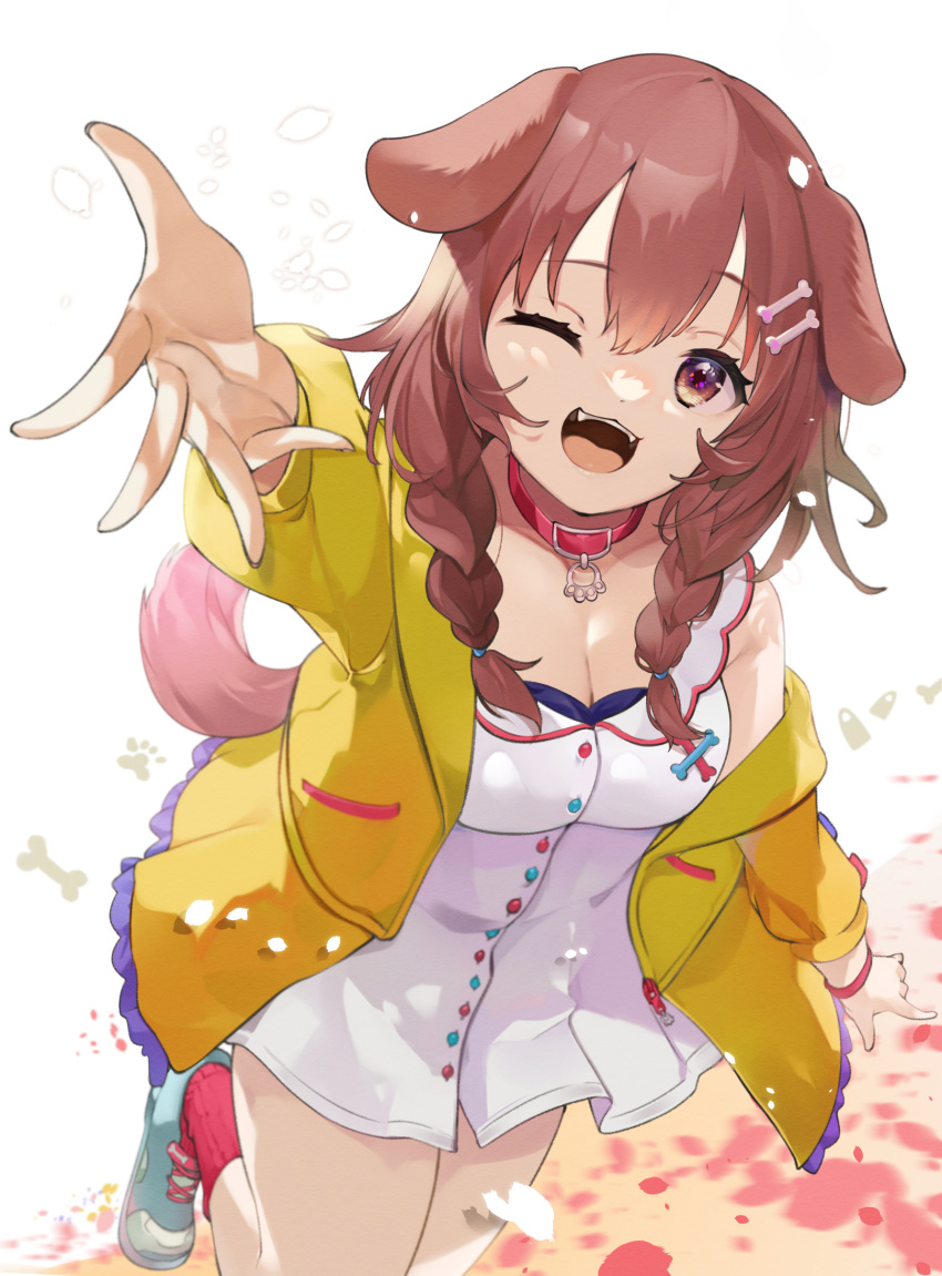 1girl ;d animal_collar animal_ears arm_up bangs blue_footwear bone_hair_ornament braid breasts brown_eyes brown_hair collar commentary dog_ears dog_girl dog_tail dress eyebrows_visible_through_hair hair_ornament highres hololive inugami_korone jacket long_hair long_sleeves looking_at_viewer medium_breasts mimizuku_(mmiganaru) off_shoulder one_eye_closed open_clothes open_jacket outstretched_arm reaching_out shoes sleeveless sleeveless_dress smile solo standing standing_on_one_leg symbol-only_commentary tail twin_braids virtual_youtuber white_dress yellow_jacket