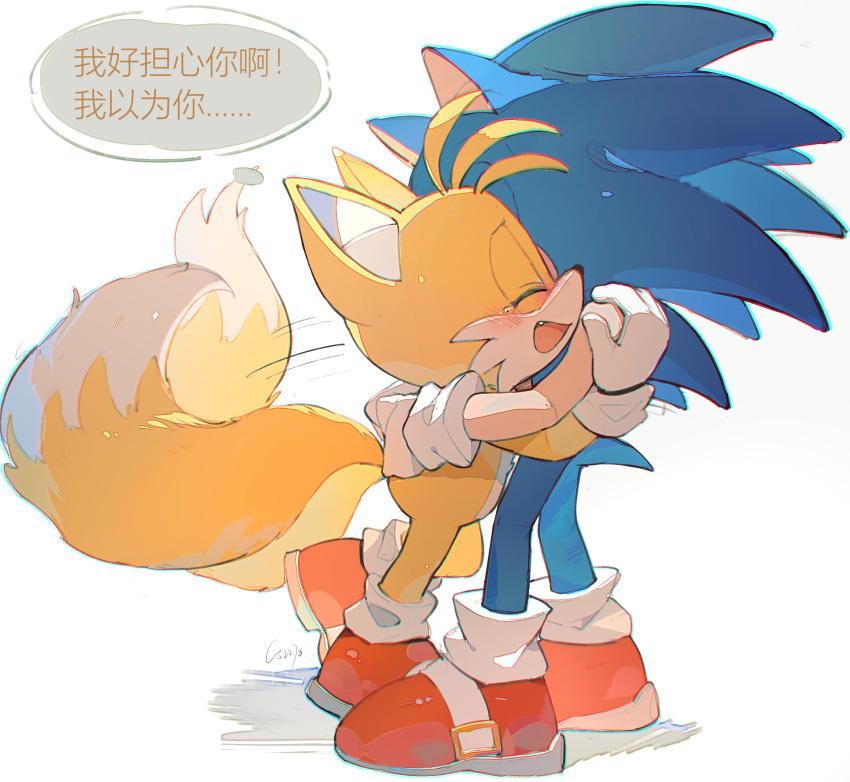2boys absurdres animal_ears blue_fur c52278 chinese_commentary commentary_request fox_boy fox_ears fox_tail furry furry_male gloves hands_on_another's_head hedgehog_ears highres hug male_focus multiple_boys simple_background smile sonic_(series) sonic_the_hedgehog tail tails_(sonic) tearing_up teeth translation_request white_background white_gloves yellow_fur