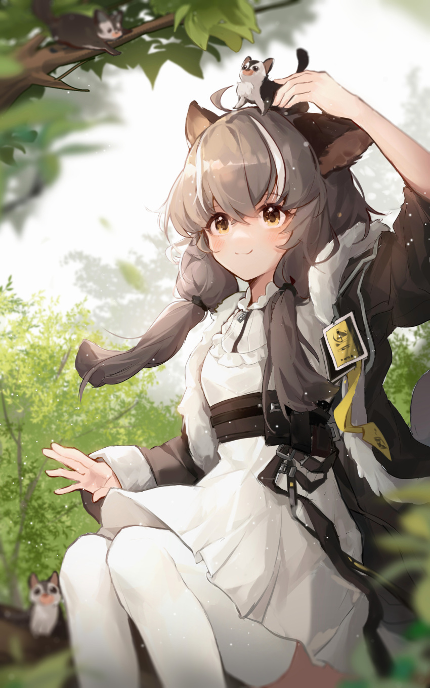 1girl absurdres animal_ears animal_on_head animal_request arknights arm_up black_jacket branch brown_eyes brown_hair closed_mouth commentary_request day dress feet_out_of_frame hakuto_kinkinko highres honeyberry_(arknights) jacket long_hair long_sleeves multicolored_hair on_head open_clothes open_jacket outdoors short_sleeves sitting smile solo streaked_hair thigh-highs white_dress white_hair white_legwear